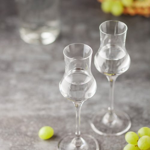 Grape vodka or grappa