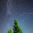 Shooting stars with trees in foreground during a night of the Perseid Meteor Shower.