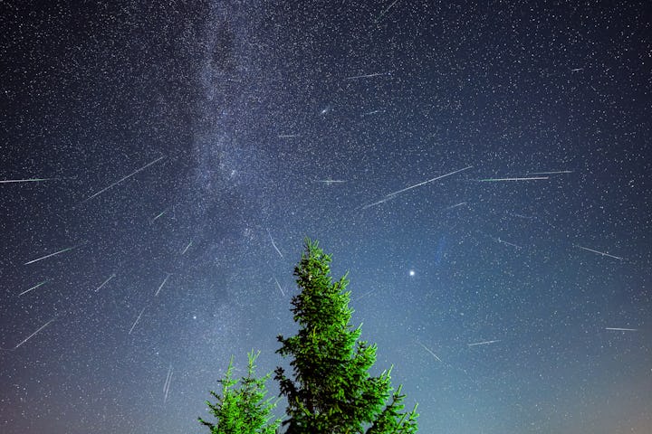 Shooting stars with trees in foreground during a night of the Perseid Meteor Shower.