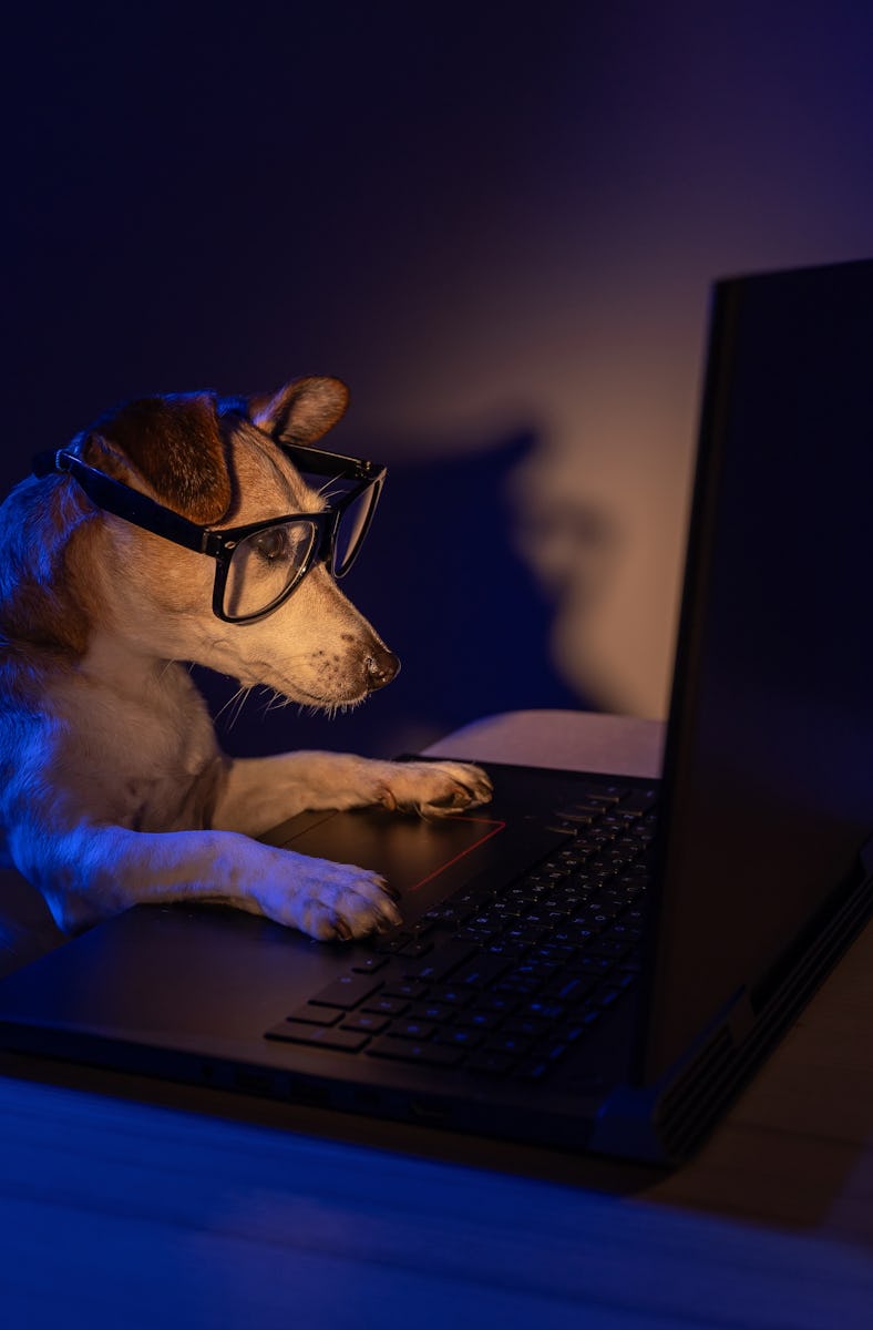 Cute surprised nerd dog with glasses using computer laptop at night with teal orange light. Secret h...