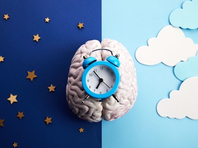 The circadian rhythms are controlled by circadian clocks or biological clock