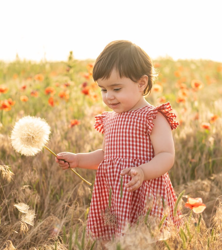 cute baby girl in red dress holding large dandelion on field of poppies at summer sunset