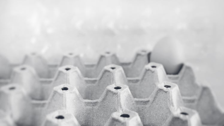 An empty egg carton with just one egg.