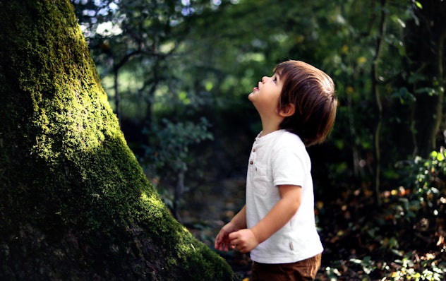 Little boy staring up at a tree in article about one-syllable boy names