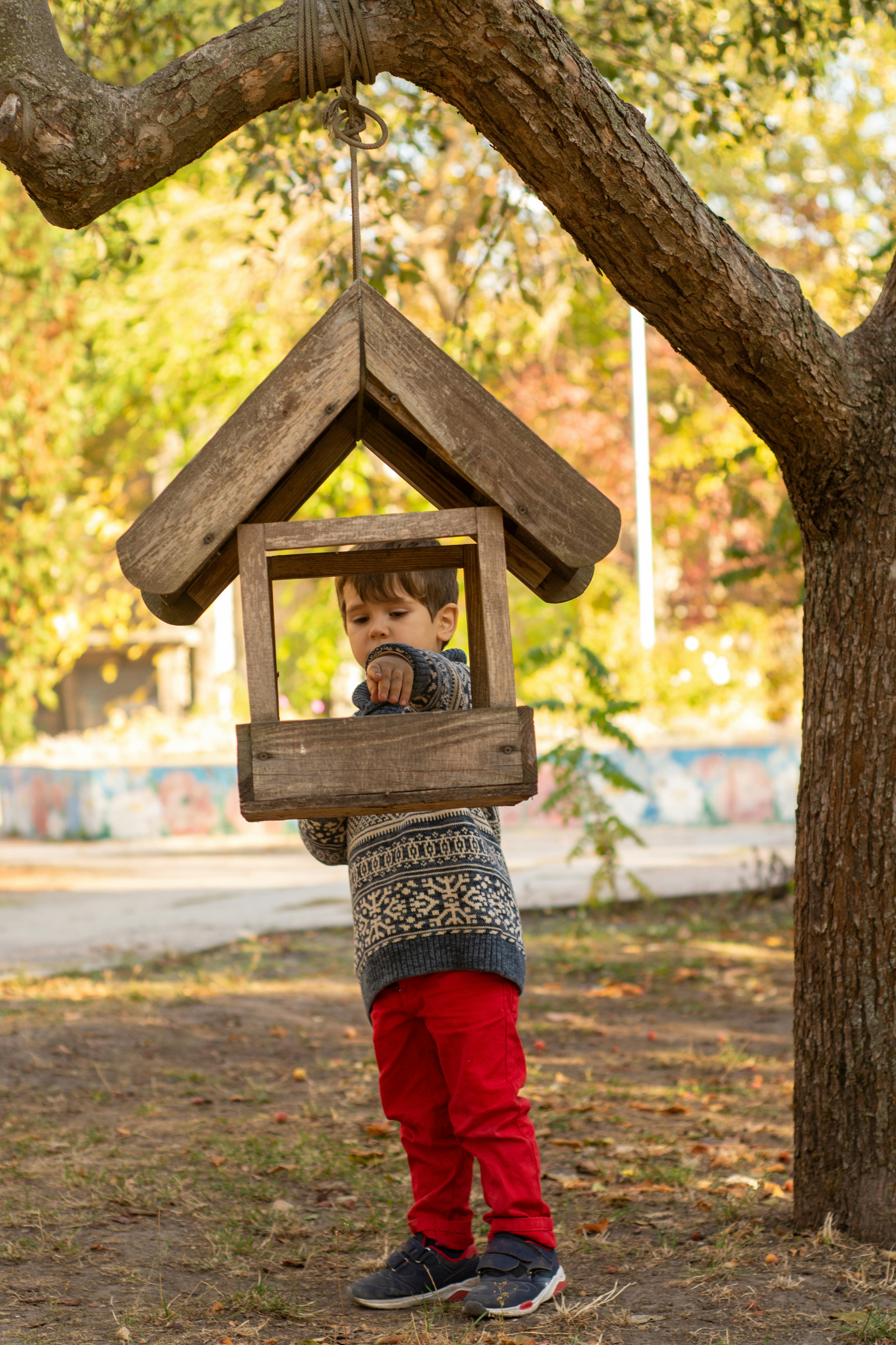 The little toddler boy feeding birds, birds feeder. Love and respect of nature, world and animals. E...