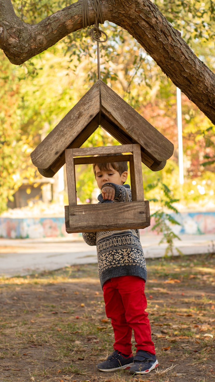 The little toddler boy feeding birds, birds feeder. Love and respect of nature, world and animals. E...
