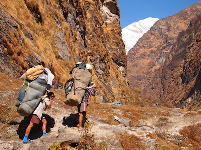Annapurna, Nepal Porters carrying heavy load on his back.