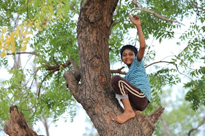 Indian child climbs a tree. Epic stories offer a great source of inspiration for unique baby names.