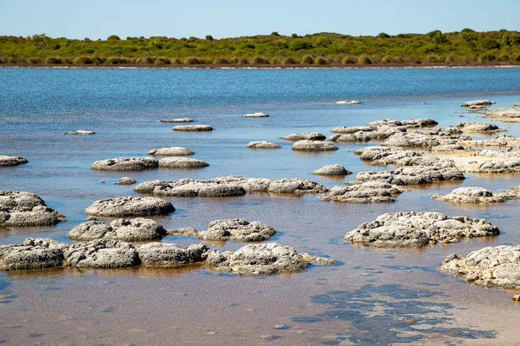 Earth's Early Oxygen May Have Come From Rocks — And It Could Have Big ...