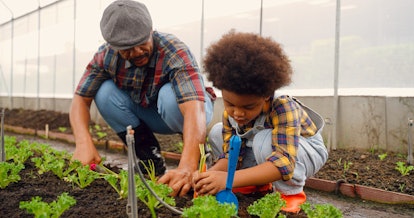 Pair a photo like this black dad and son planting a garden together with a cute spring caption