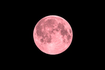 Pink full super moon on black sky background