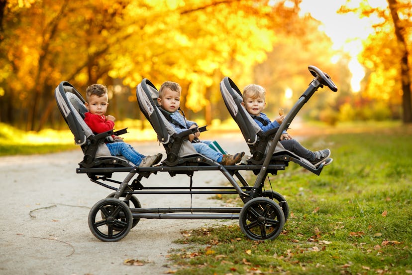 The happy triplets sit in a  baby stroller and eat cookies at autumn park.