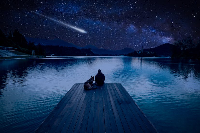 Man with dog looking at Perseid Meteor Shower at lake Bled