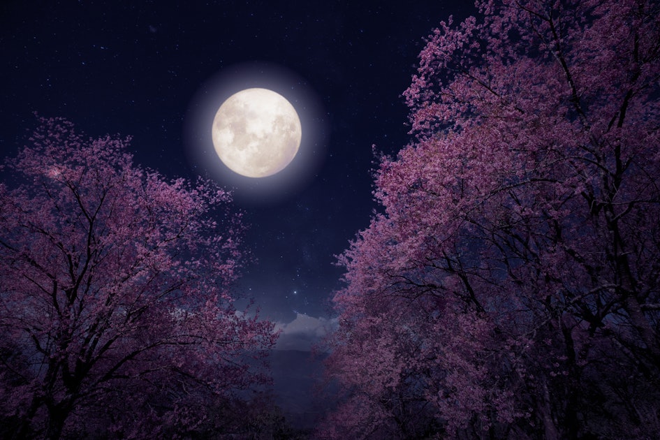 May's Stunning Full Flower Moon Is About To Illuminate The Night Sky