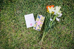 Bunch of flowers, gift and dedication card resting on a lawn for Mother's Day
