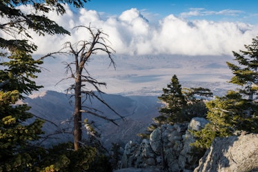 View of the Coachella Valley from the Palm Springs Aerial Tramway, which is part of a Palm Springs s...