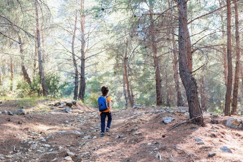 Traveling child. a tourist with a backpack goes along a mountain road. hiking and active healthy lif...