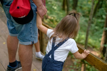 Dad holds his little daughter tightly by the hand while walking through the forests. Summer hiking o...