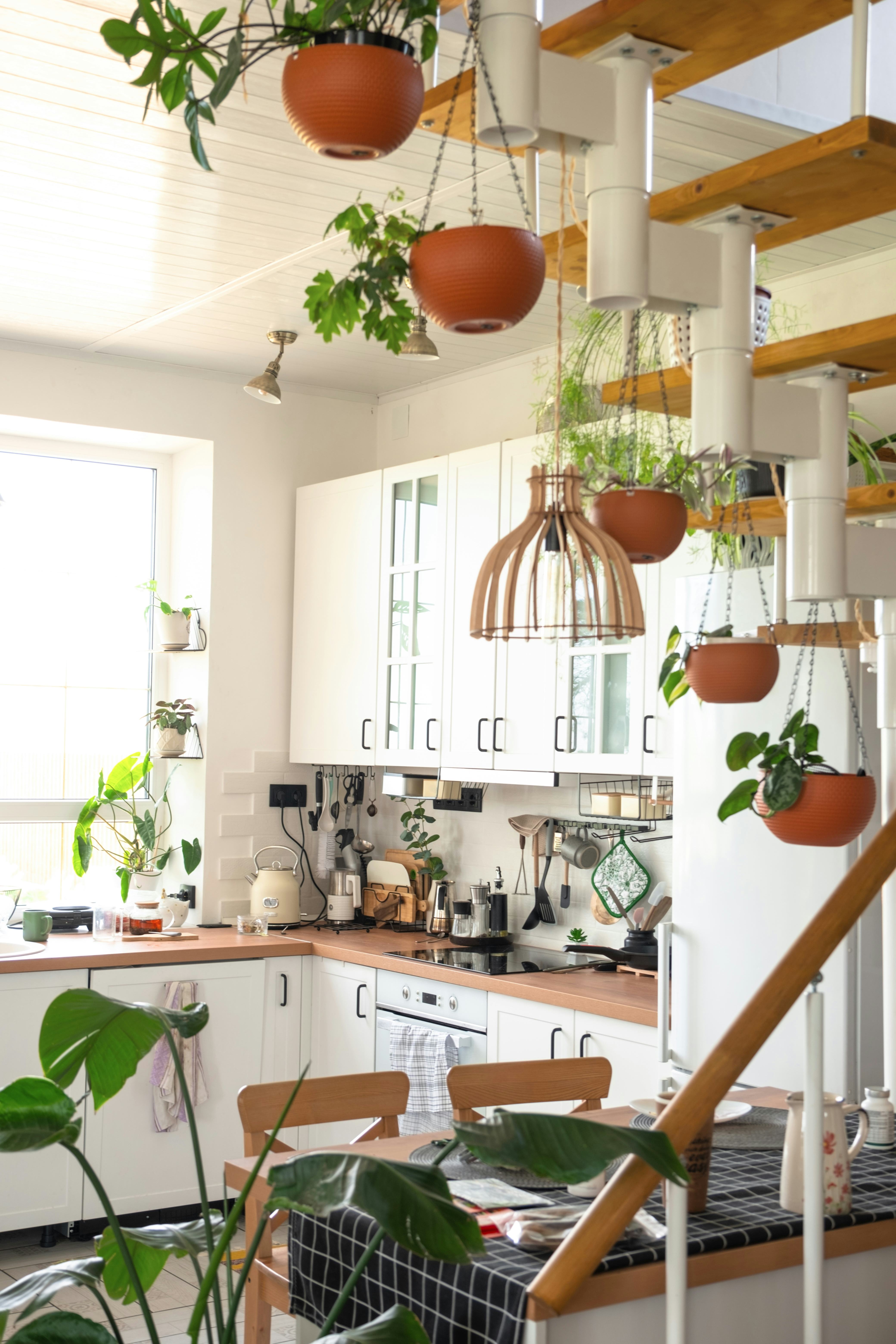 Plants As Home Decor: How To Make Greenery A Part Of Your Aesthetic