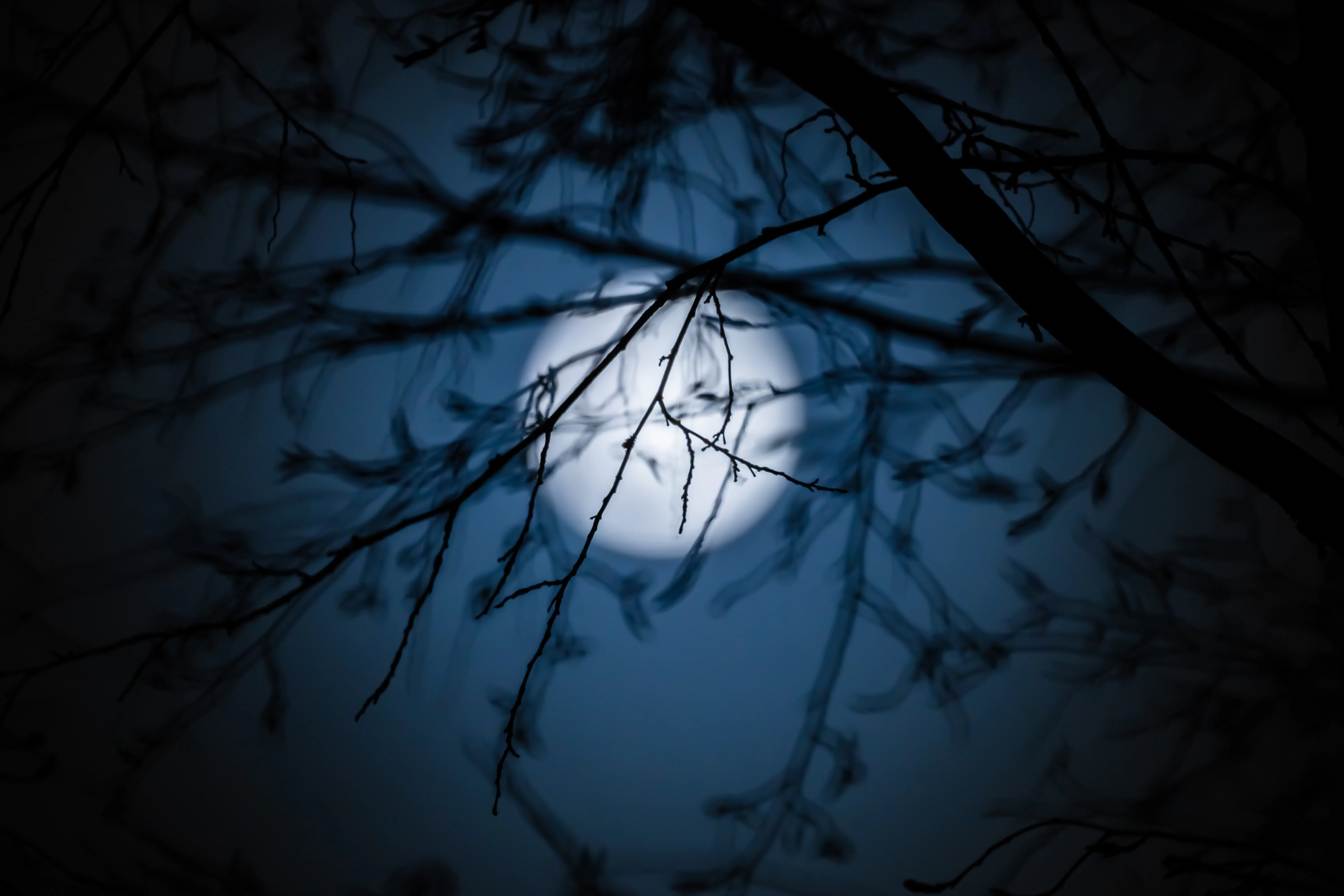 You Need To Watch the Best LowBudget Thriller on Hulu ASAP