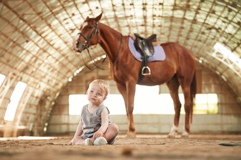 Little baby boy is sitting on the ground with horse indoors.