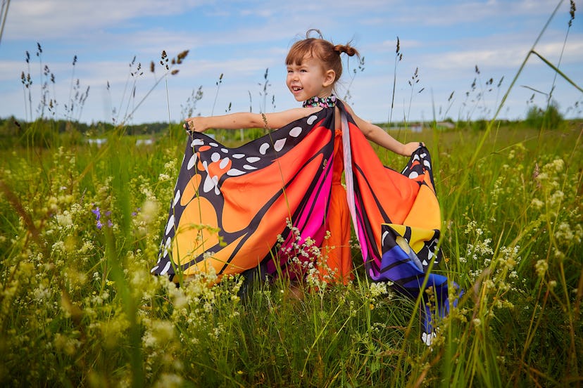 A little girl with butterfly wings in a field.