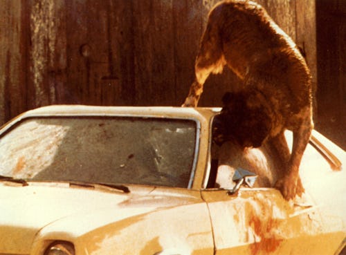 Taft/Kobal/Shutterstock