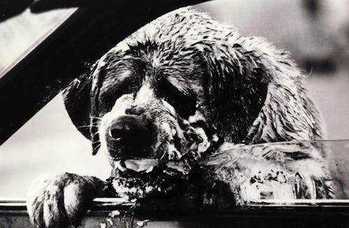 Taft/Kobal/Shutterstock