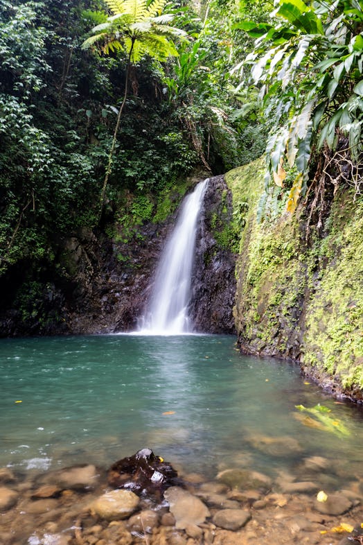 Seven Sisters Waterfalls in Grenada Grand Etang National Park