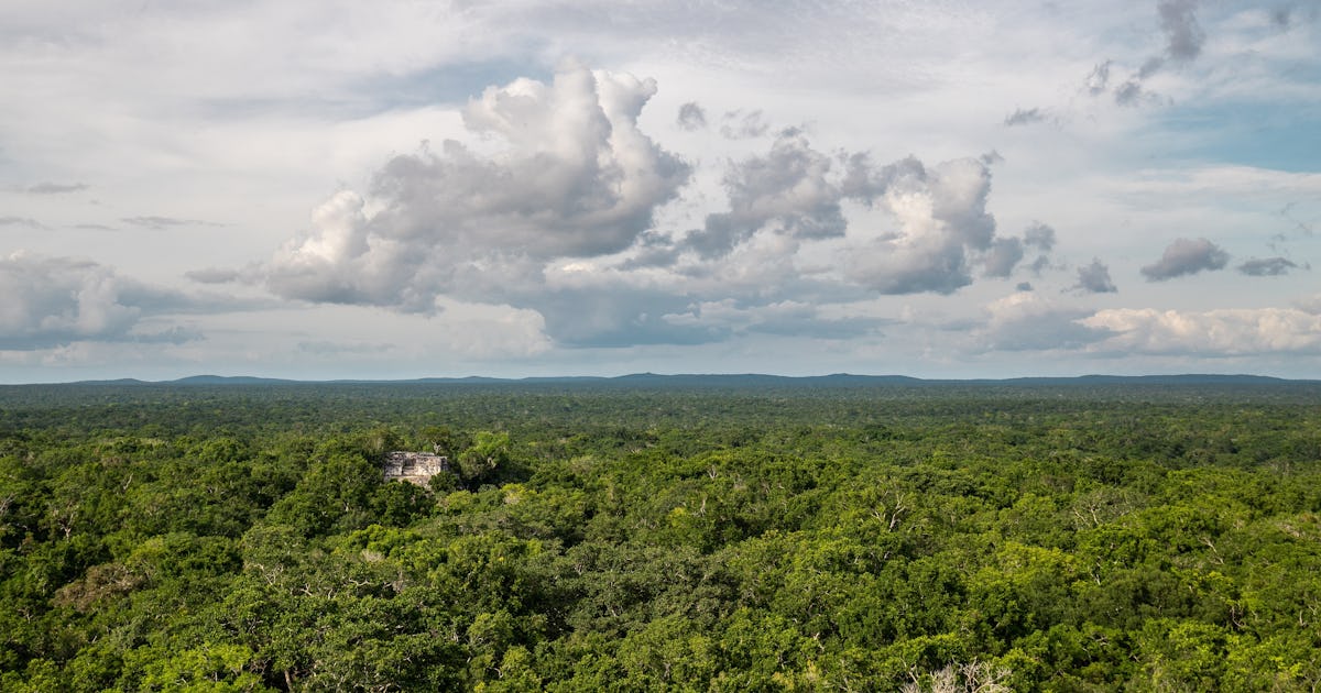The Ancient Lost Maya City of Valeriana Had An Astronomical Site to
