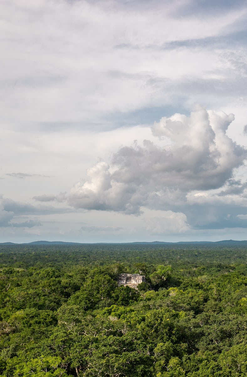 Calakmul, a Maya archaeological site in the deep in the jungles in Campeche, Mexico