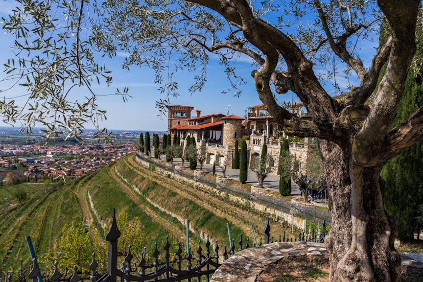 history winery in Franciacorta Italy 