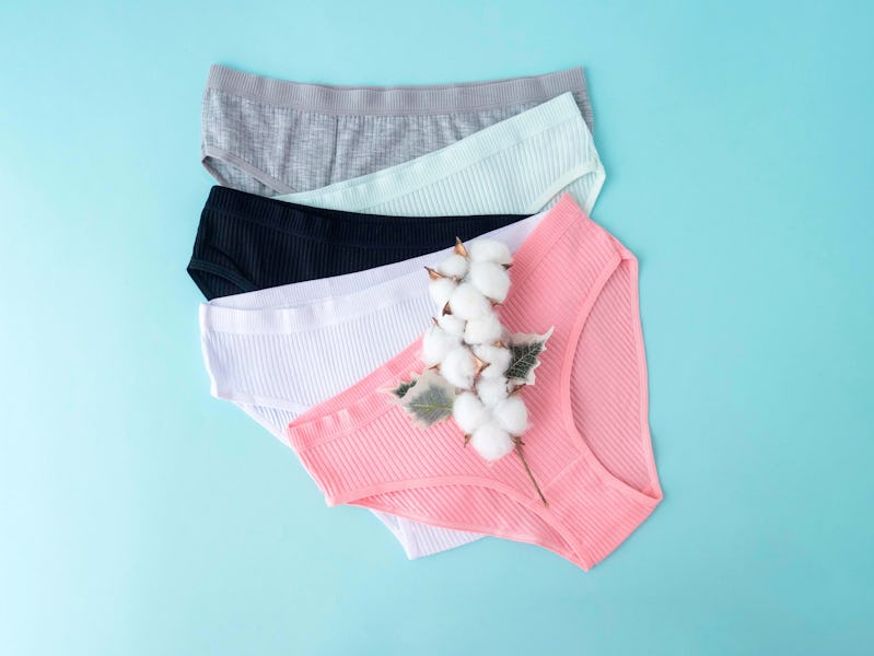 Women's underwear. Cotton briefs in different colors and a sprig of cotton on a blue background. A p...