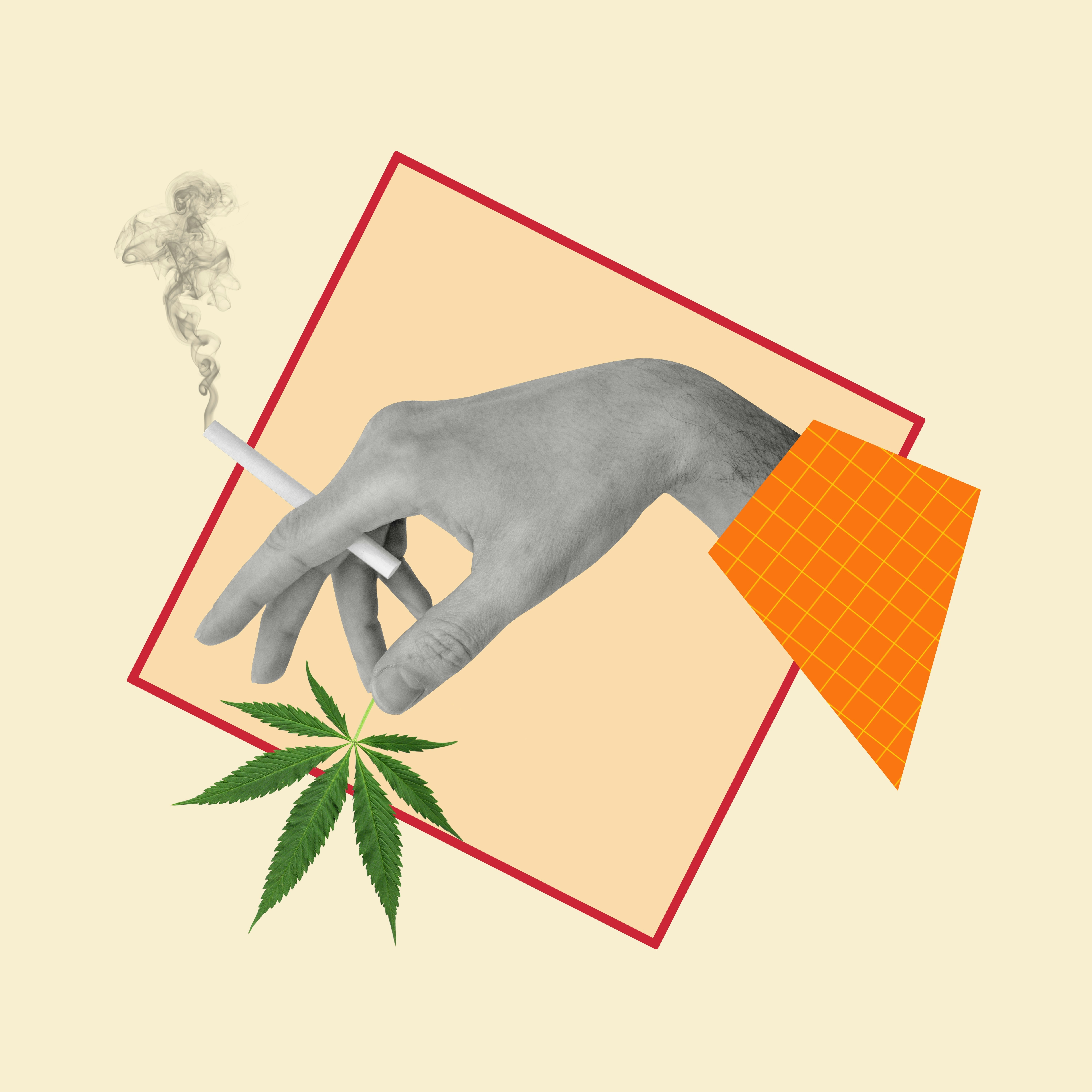 Can You Really Build Up A Tolerance to Weed? Yes, And It Could Be A Good Thing