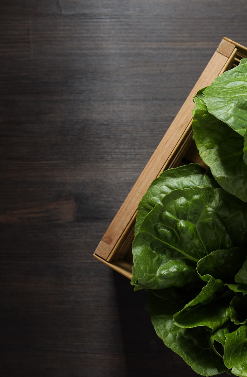Concept of fresh and green food - lettuce