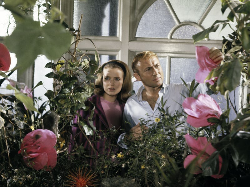 Suzan Farmer, Nick Adams