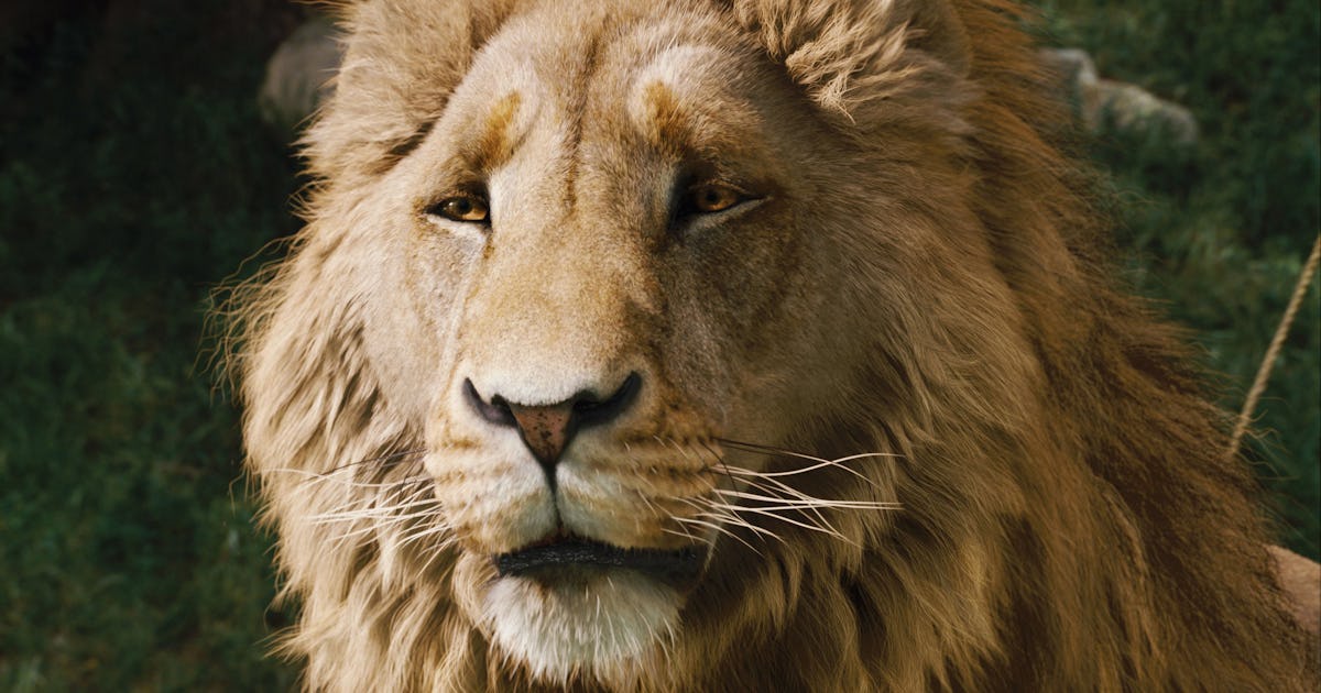 20 Years Later, An Iconic Fantasy Epic Is As Good As You Remember