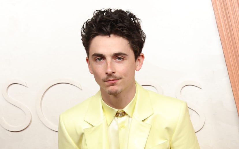 LOS ANGELES - MAR 2: Timothee Chalamet at the 97th Annual Academy Awards at the Dolby Theater on Mar...