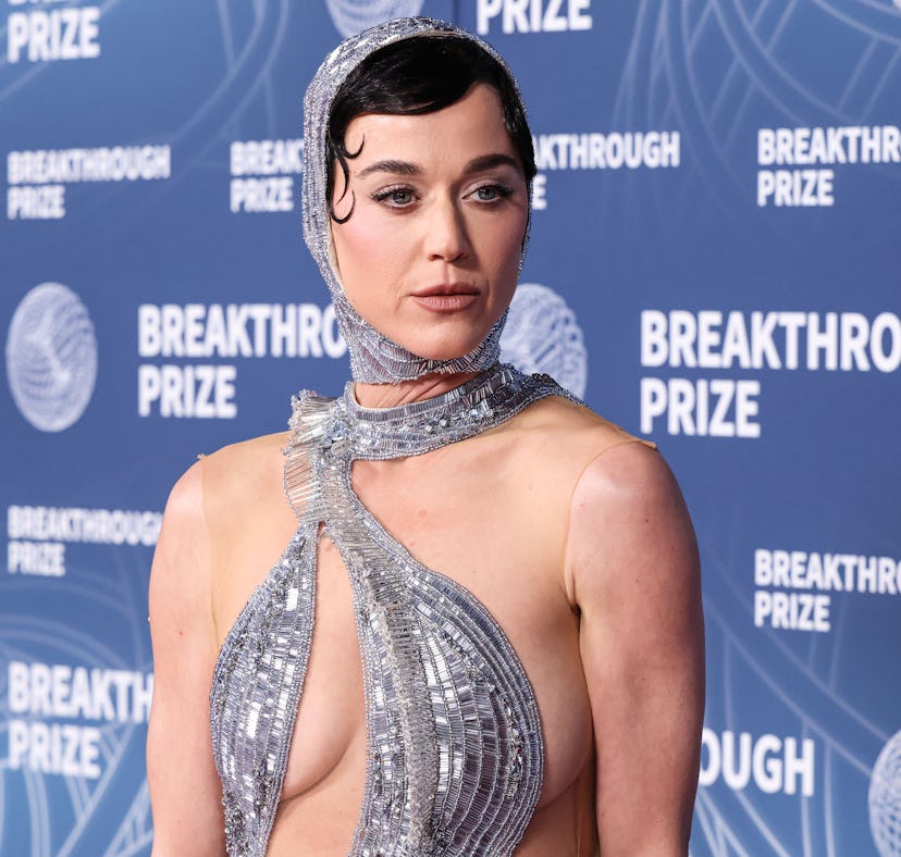 Katy Perry shared a message to her fans amid online hate.