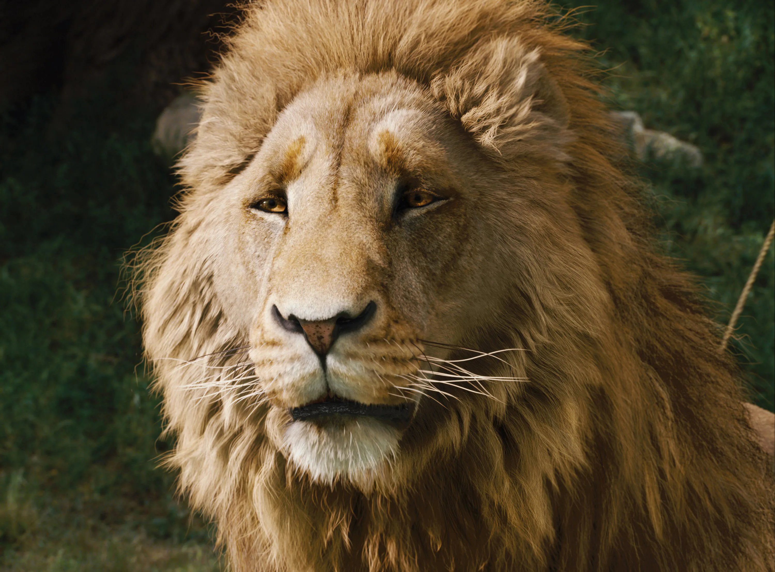 The Chronicles Of Narnia - Lion Witch and The Wardrobe (2005)