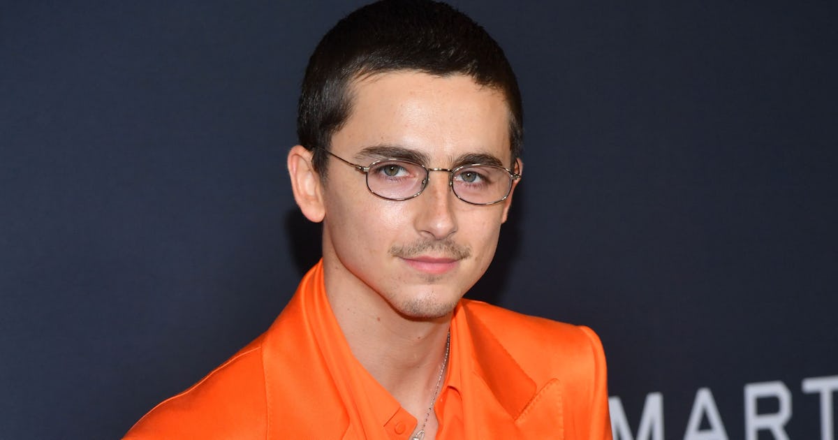 Timothee Chalamet Says He Paid 6 Figures For His 'SNL' Performance