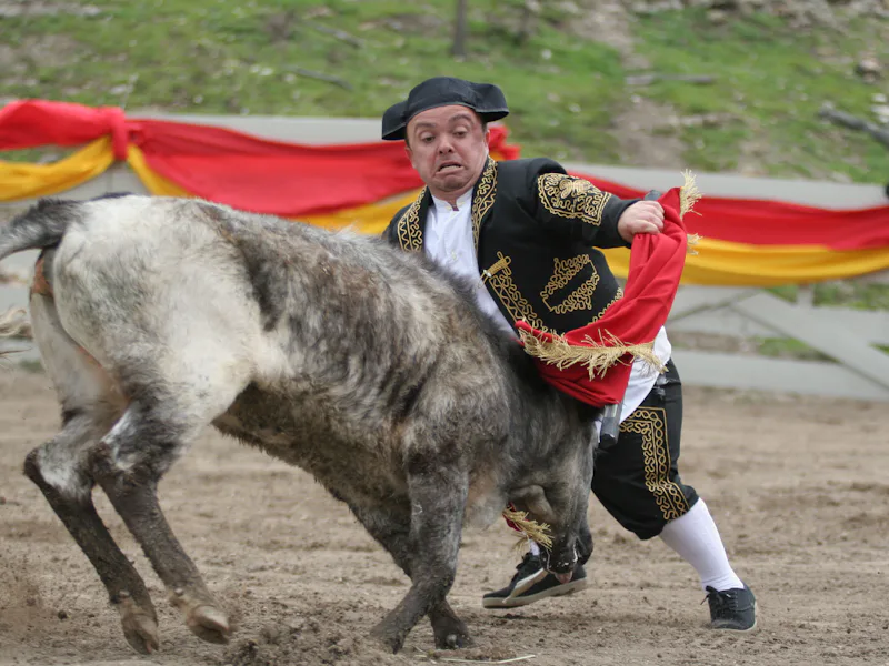 Jackass (2000-2002)