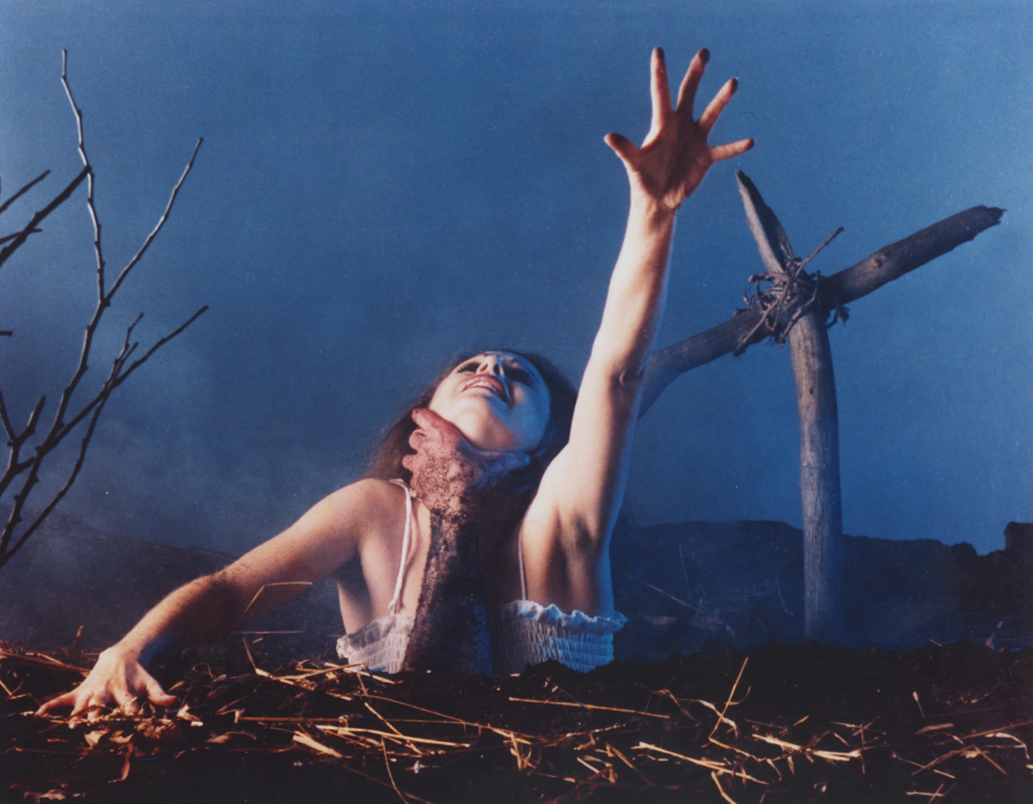 The Evil Dead