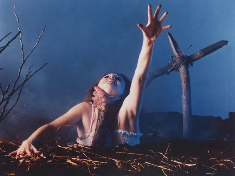The Evil Dead