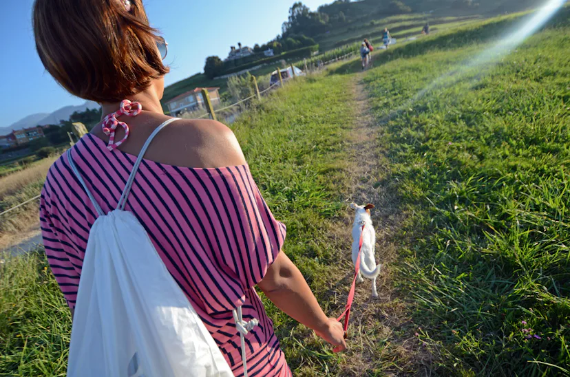 Little Things To Do For Fun Without Committing To A Whole Hobby
