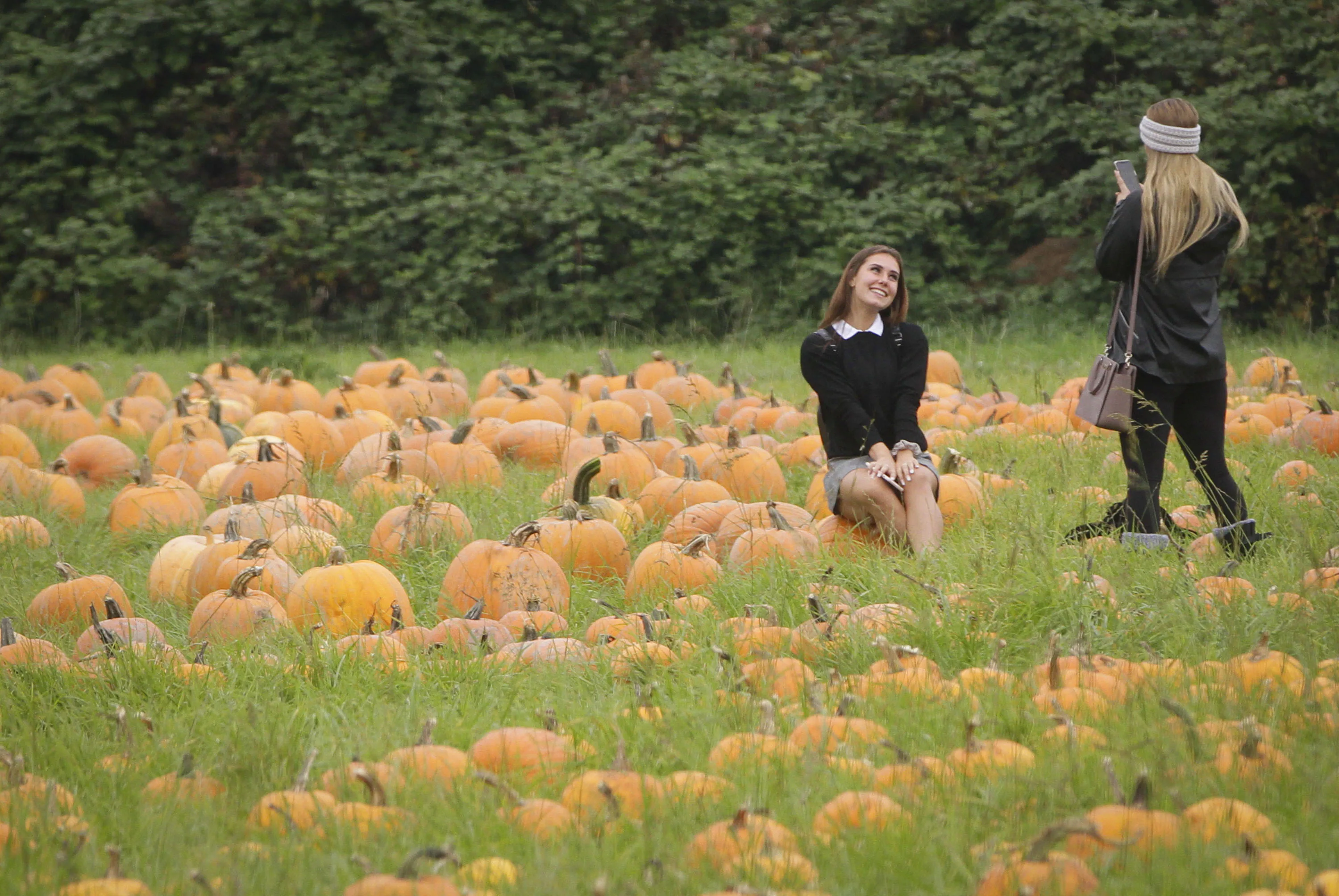 The spiritual meaning of the Autumn Equinox 2026