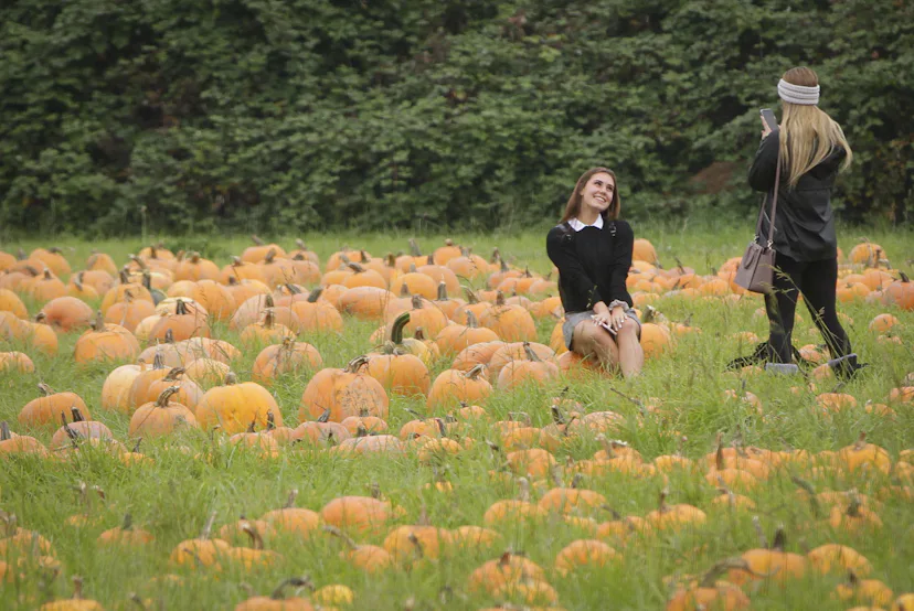 The spiritual meaning of the Autumn Equinox 2026