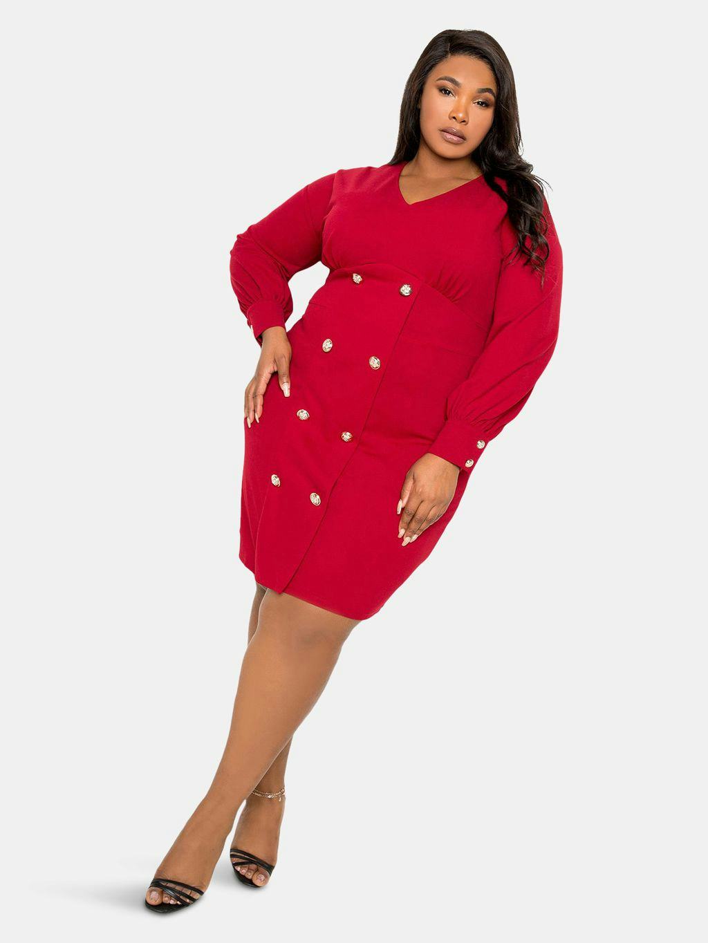 Double Breasted Mini Dress: image 1