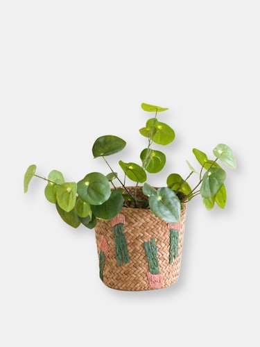 Cactus Embroidery Soft Natural Basket - Handmade Bins: additional image