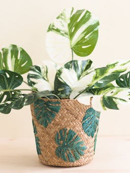 Monstera Embroidered Soft Seagrass Planter - Woven Baskets: additional image